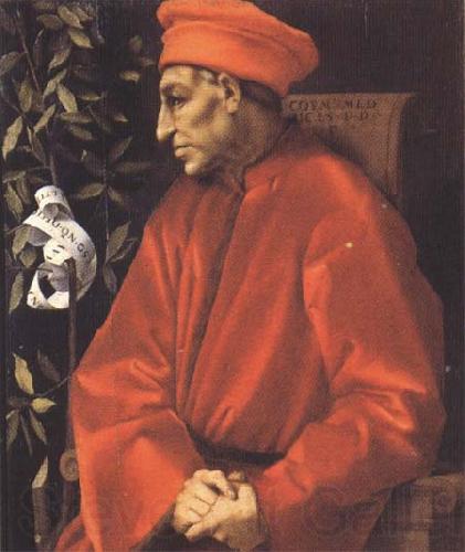 Sandro Botticelli Pontormo,Portrait of Cosimo the Elder